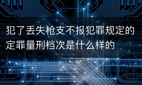 犯了丢失枪支不报犯罪规定的定罪量刑档次是什么样的