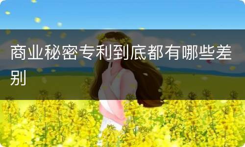 商业秘密专利到底都有哪些差别