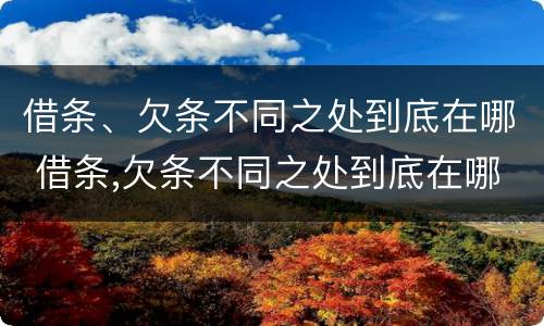 借条、欠条不同之处到底在哪 借条,欠条不同之处到底在哪写