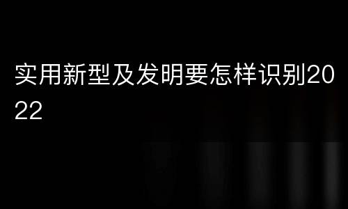 实用新型及发明要怎样识别2022