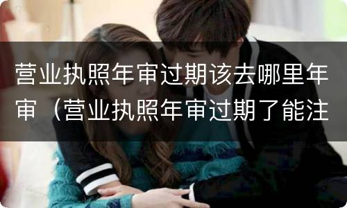 营业执照年审过期该去哪里年审（营业执照年审过期了能注销吗）