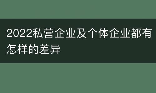 2022私营企业及个体企业都有怎样的差异