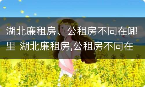 湖北廉租房、公租房不同在哪里 湖北廉租房,公租房不同在哪里可以申请