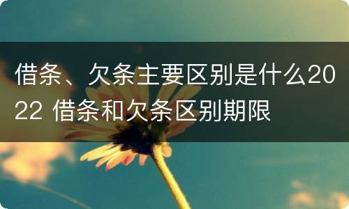 借条、欠条主要区别是什么2022 借条和欠条区别期限