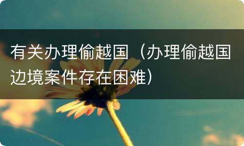 有关办理偷越国（办理偷越国边境案件存在困难）