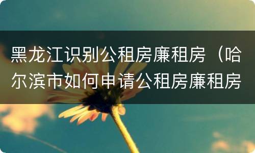 黑龙江识别公租房廉租房(哈尔滨市如何申请公租房廉租房)