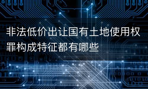 非法低价出让国有土地使用权罪构成特征都有哪些