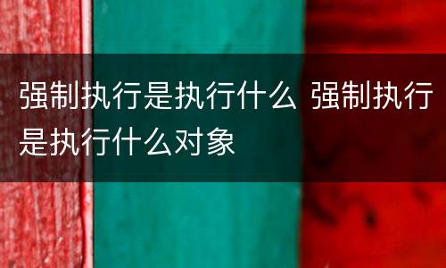 强制执行是执行什么 强制执行是执行什么对象