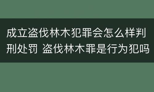 成立盗伐林木犯罪会怎么样判刑处罚 盗伐林木罪是行为犯吗