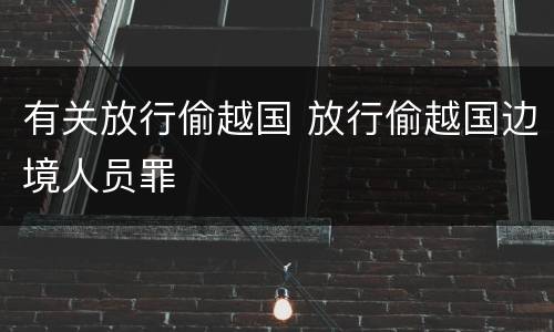 有关放行偷越国 放行偷越国边境人员罪