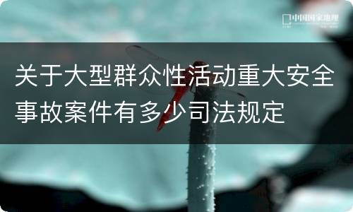 关于大型群众性活动重大安全事故案件有多少司法规定