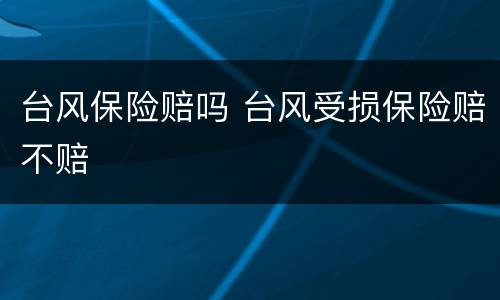 台风保险赔吗 台风受损保险赔不赔