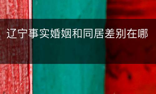 辽宁事实婚姻和同居差别在哪