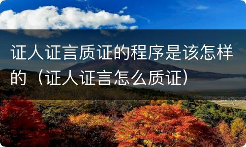 证人证言质证的程序是该怎样的（证人证言怎么质证）