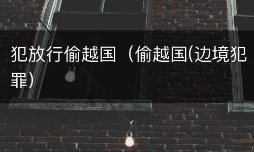 犯放行偷越国（偷越国(边境犯罪）