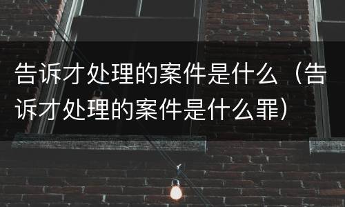 告诉才处理的案件是什么（告诉才处理的案件是什么罪）