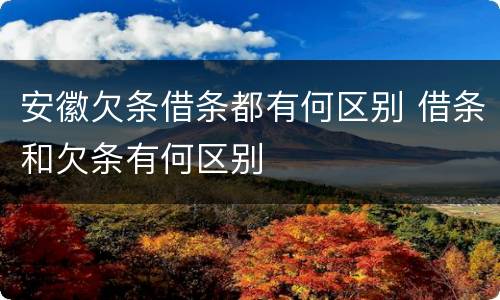 安徽欠条借条都有何区别 借条和欠条有何区别