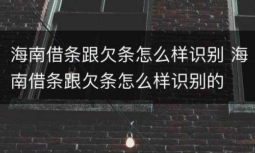 海南借条跟欠条怎么样识别 海南借条跟欠条怎么样识别的