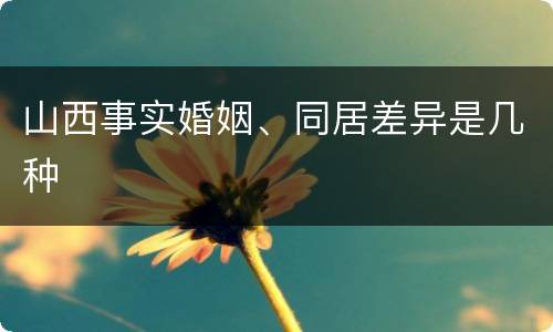 山西事实婚姻、同居差异是几种