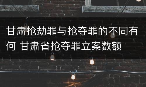 甘肃抢劫罪与抢夺罪的不同有何 甘肃省抢夺罪立案数额