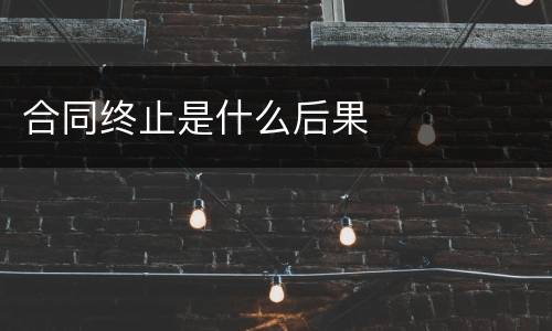 合同终止是什么后果