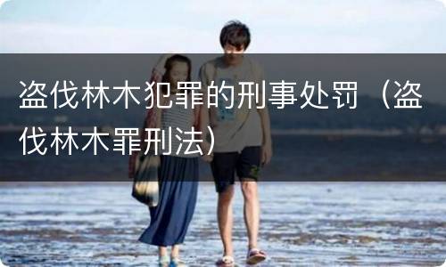 盗伐林木犯罪的刑事处罚（盗伐林木罪刑法）