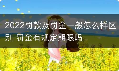2022罚款及罚金一般怎么样区别 罚金有规定期限吗