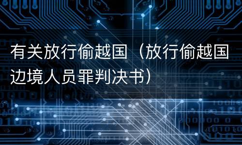 有关放行偷越国（放行偷越国边境人员罪判决书）