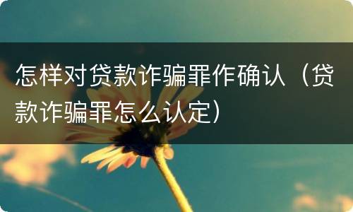 怎样对贷款诈骗罪作确认（贷款诈骗罪怎么认定）