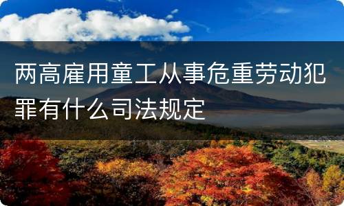 两高雇用童工从事危重劳动犯罪有什么司法规定