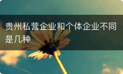 贵州私营企业和个体企业不同是几种