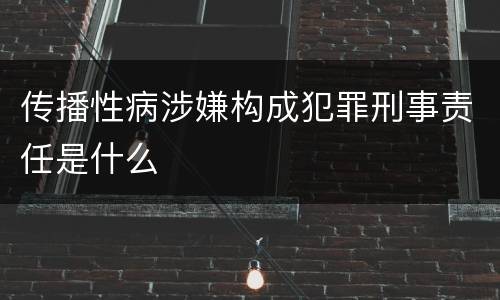 传播性病涉嫌构成犯罪刑事责任是什么