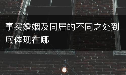 事实婚姻及同居的不同之处到底体现在哪