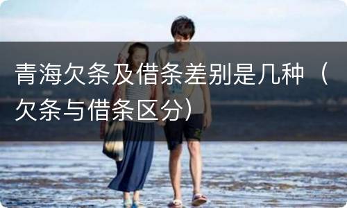 青海欠条及借条差别是几种（欠条与借条区分）