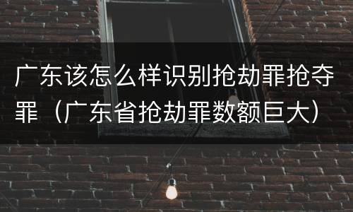 广东该怎么样识别抢劫罪抢夺罪（广东省抢劫罪数额巨大）