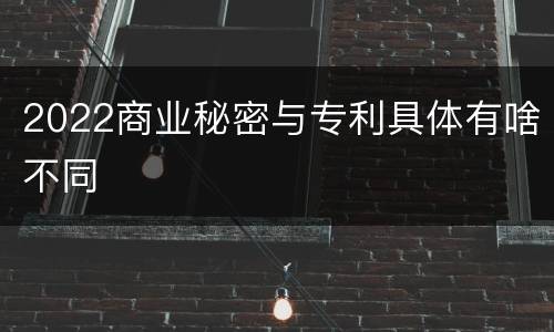 2022商业秘密与专利具体有啥不同