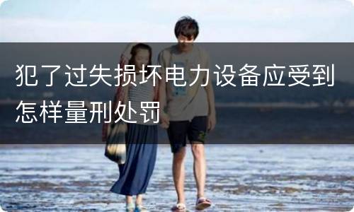 犯了过失损坏电力设备应受到怎样量刑处罚