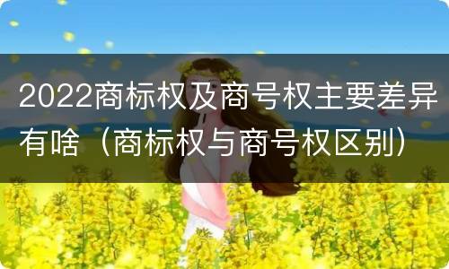 2022商标权及商号权主要差异有啥（商标权与商号权区别）