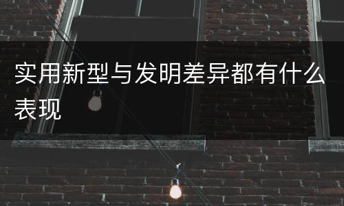 实用新型与发明差异都有什么表现