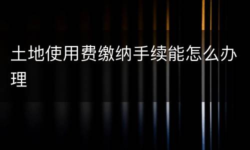 土地使用费缴纳手续能怎么办理