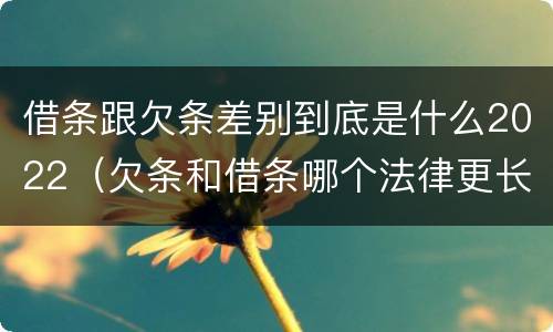 借条跟欠条差别到底是什么2022（欠条和借条哪个法律更长）