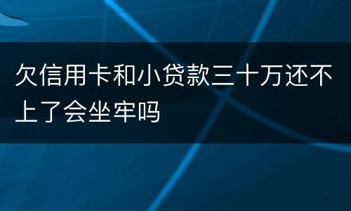 欠信用卡和小贷款三十万还不上了会坐牢吗