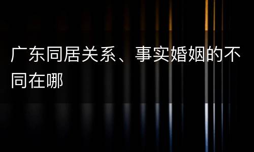 广东同居关系、事实婚姻的不同在哪