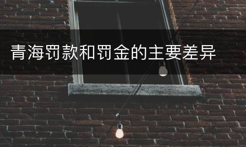 青海罚款和罚金的主要差异