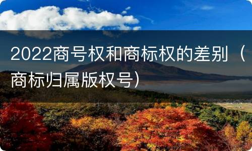 2022商号权和商标权的差别（商标归属版权号）