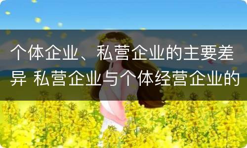 个体企业、私营企业的主要差异 私营企业与个体经营企业的区别