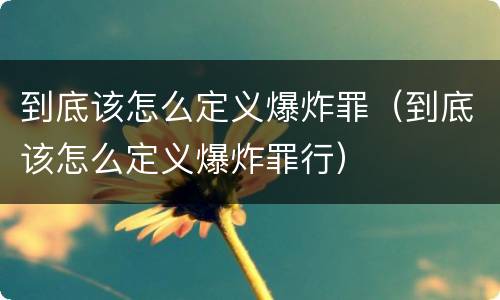 到底该怎么定义爆炸罪（到底该怎么定义爆炸罪行）