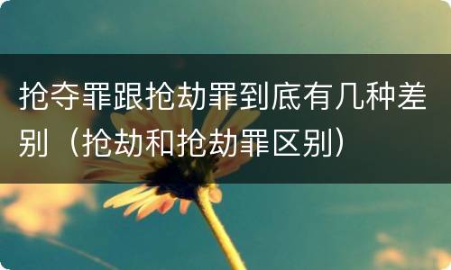抢夺罪跟抢劫罪到底有几种差别（抢劫和抢劫罪区别）