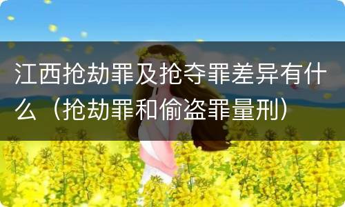 江西抢劫罪及抢夺罪差异有什么（抢劫罪和偷盗罪量刑）