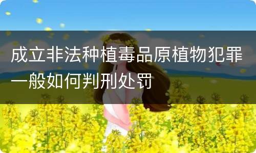 成立非法种植毒品原植物犯罪一般如何判刑处罚